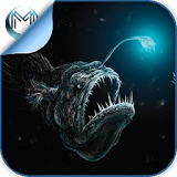 Deep Sea & Ocean Fish Quiz HD icon