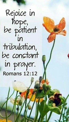 Amazing Bible Daily Quotes Screen 2