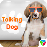 Talking Dog Talk & Funny icon