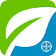 Mi cultivo con Bayer Baixe no Windows