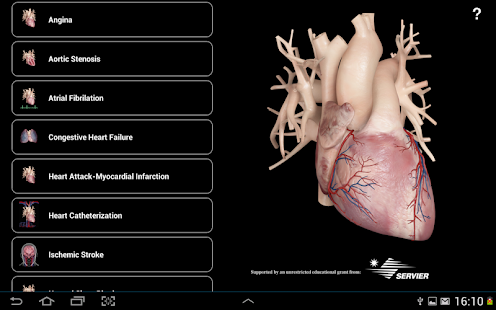Cardiological Screenshot