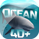 Cover Image of ダウンロード Ocean 4D+ 0.2 APK