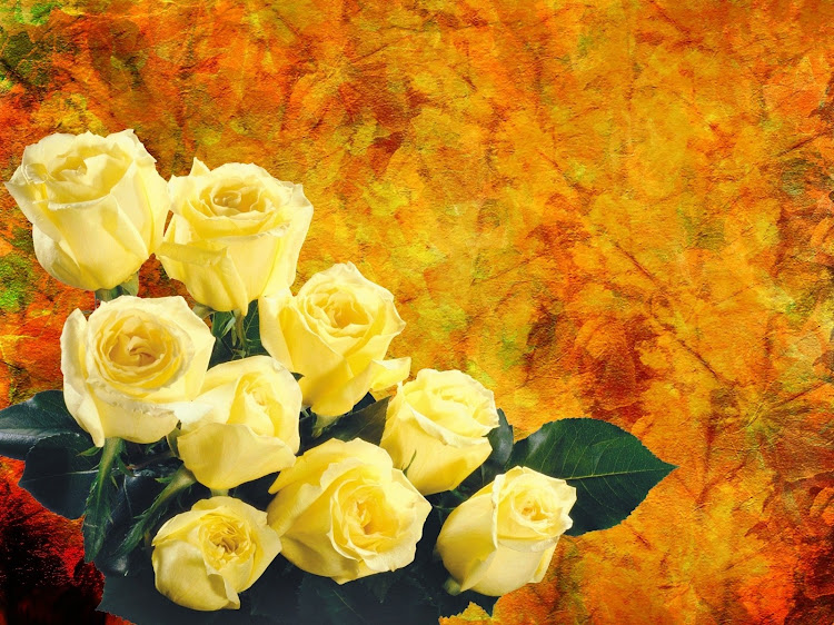Yellow Rose Wallpaper HD - 8.0 - (Android)
