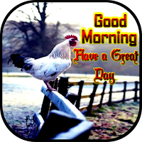 Good Morning Gif images