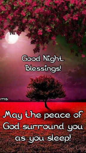Good Night Blessings & Prayers Screen 2
