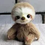 Sloth Wallpapers
