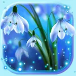 Cover Image of Download Snowdrops Blue Live Wallpaper  APK