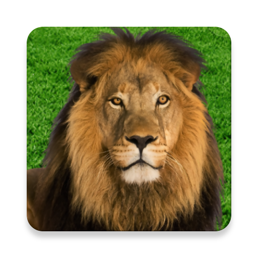 What Animal Are You? Personali 1.0.1 Icon