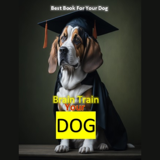 How To Train Your Dog logo