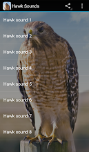 Hawk Sounds التطبيقات على Google Play