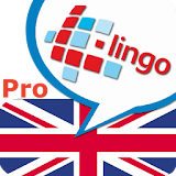 L-Lingo Learn English Pro icon