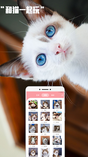 人猫交流器 -人猫翻譯，猫語翻譯 Screen 2