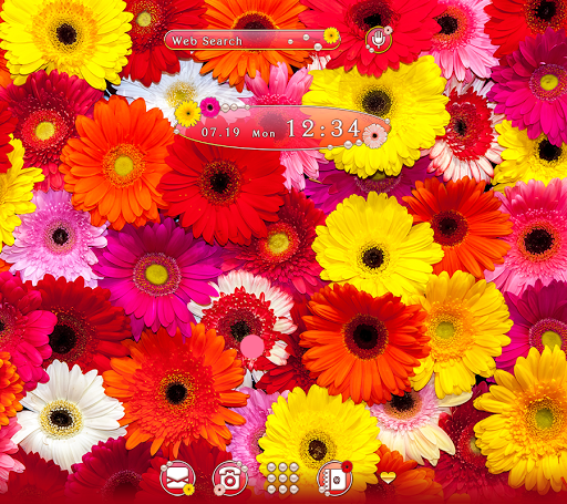 Android application Colorful Gerbera Flowers Theme screenshort