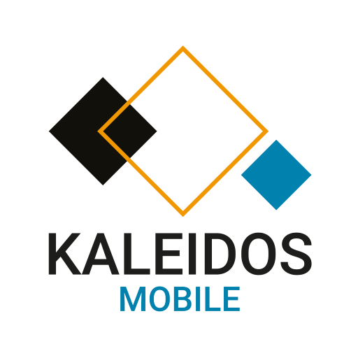 BIG Kaleidos logo