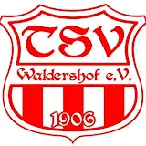 TSV Waldershof icon