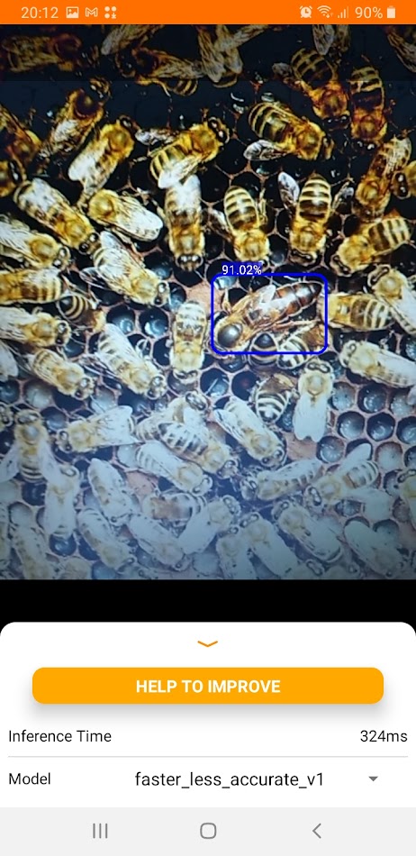 #4. Bee Queen Detector (Android) Με: Pablo AI Team