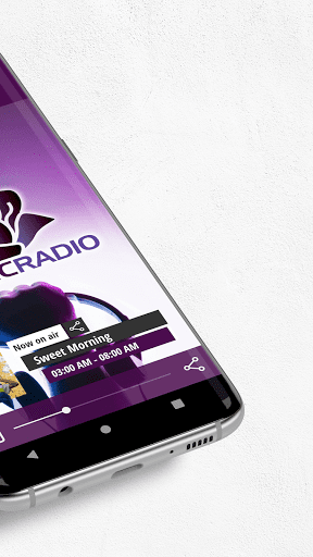 Plastic Radio Screen 2