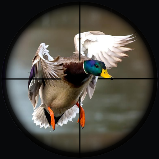 Duck Hunting Wild Adventure 1.3 Icon