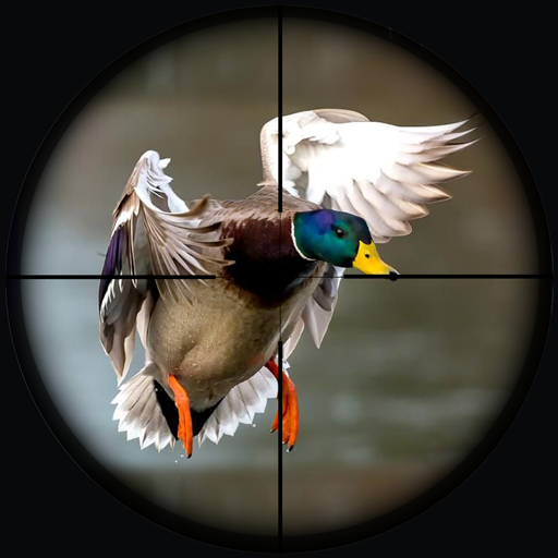 Duck Hunting Wild Adventure logo