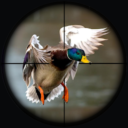 Icon image Duck Hunting Wild Adventure