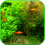 Cover Image of Télécharger Fond d'écran 3D d'aquarium réel  APK
