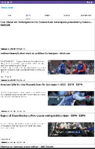 News Application Screen 3