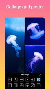 Poster Maker, Flyer Maker, Art (PREMIUM) 7.4 Apk 5