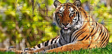 Tiger Jigsaw Puzzles Free Games 🧩🐯🧩🐅 APK
