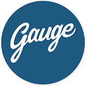 Gauge Research