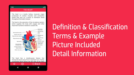 Anatomy and Physiology Book Free