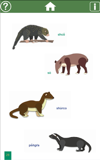 Diccionario animales broran Screen 2