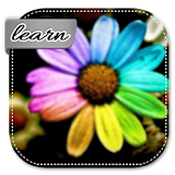 Learn How To Make Flowers icon
