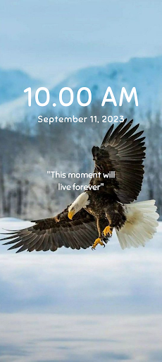 Aesthetic Eagles Wallpaper 4K Screen 3