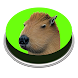 Capibara Canción | Meme - Androidアプリ