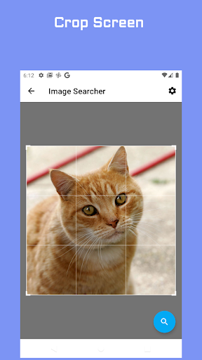 Search by Image Multi-engines Screen 2