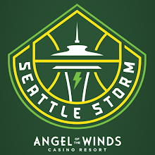 Seattle Storm Download on Windows