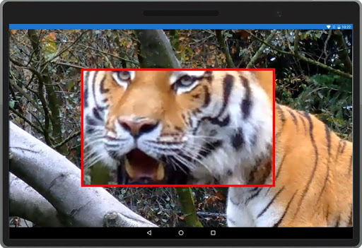 Video Player - Magnifier Screen 3