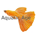 Cover Image of डाउनलोड Aquatic Age 6.01base APK