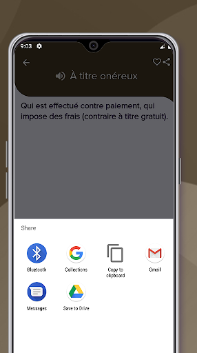 Dictionnaire Juridique Screen 3