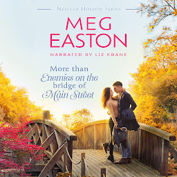 Icon image More than Enemies on the Bridge of Main Street: A Sweet Small Town Romance