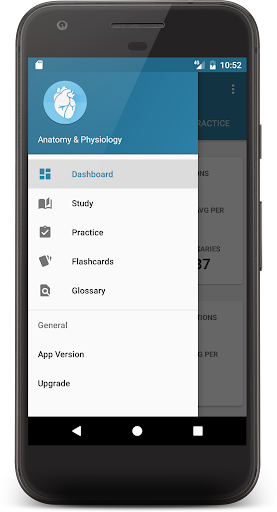 Anatomy & Physiology Screen 2