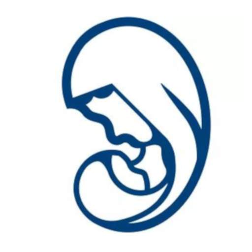 SNH logo