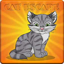 Help To The Innocent House Cat