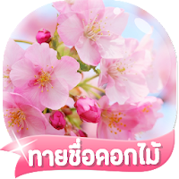 เกมส์ทายชื่อดอกไม้ไทย 2564