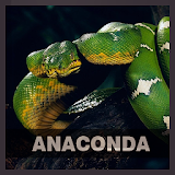 Anaconda HD Wallpapers icon