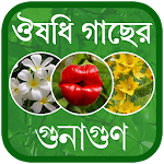 Cover Image of डाउनलोड Herbal Medicine Bangla  APK