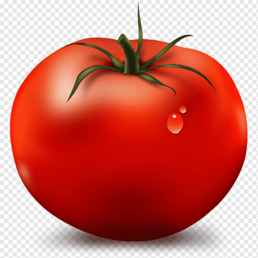 Pomodoro timer logo