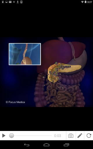 DPP-IV Inhibitors Screen 3
