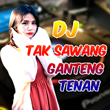 DJ Tak Sawang Sawang icon
