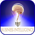 Business Intelligence1.3